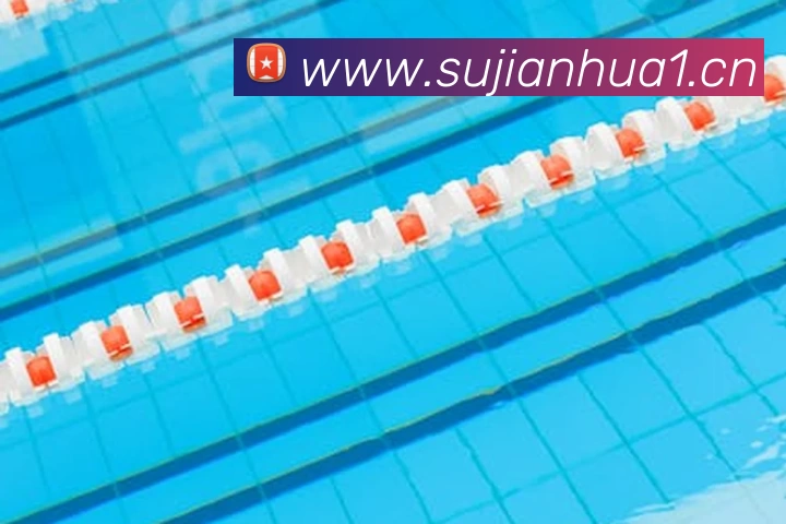 尊龙凯时·人生就是搏(中国区)官方网站平台生态图